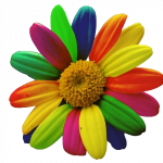 fiore